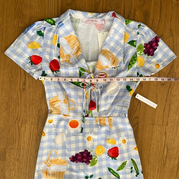NWT Lisa Says Gah Picnic Alfresco Gingham Alexa Shirtdress XS - Picture 3 of 13